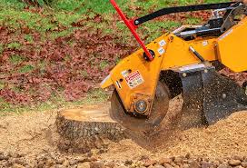 Best Tree Disease Treatment  in Fort Denaud, FL